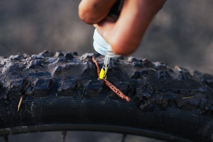 Easy Trailside Repair