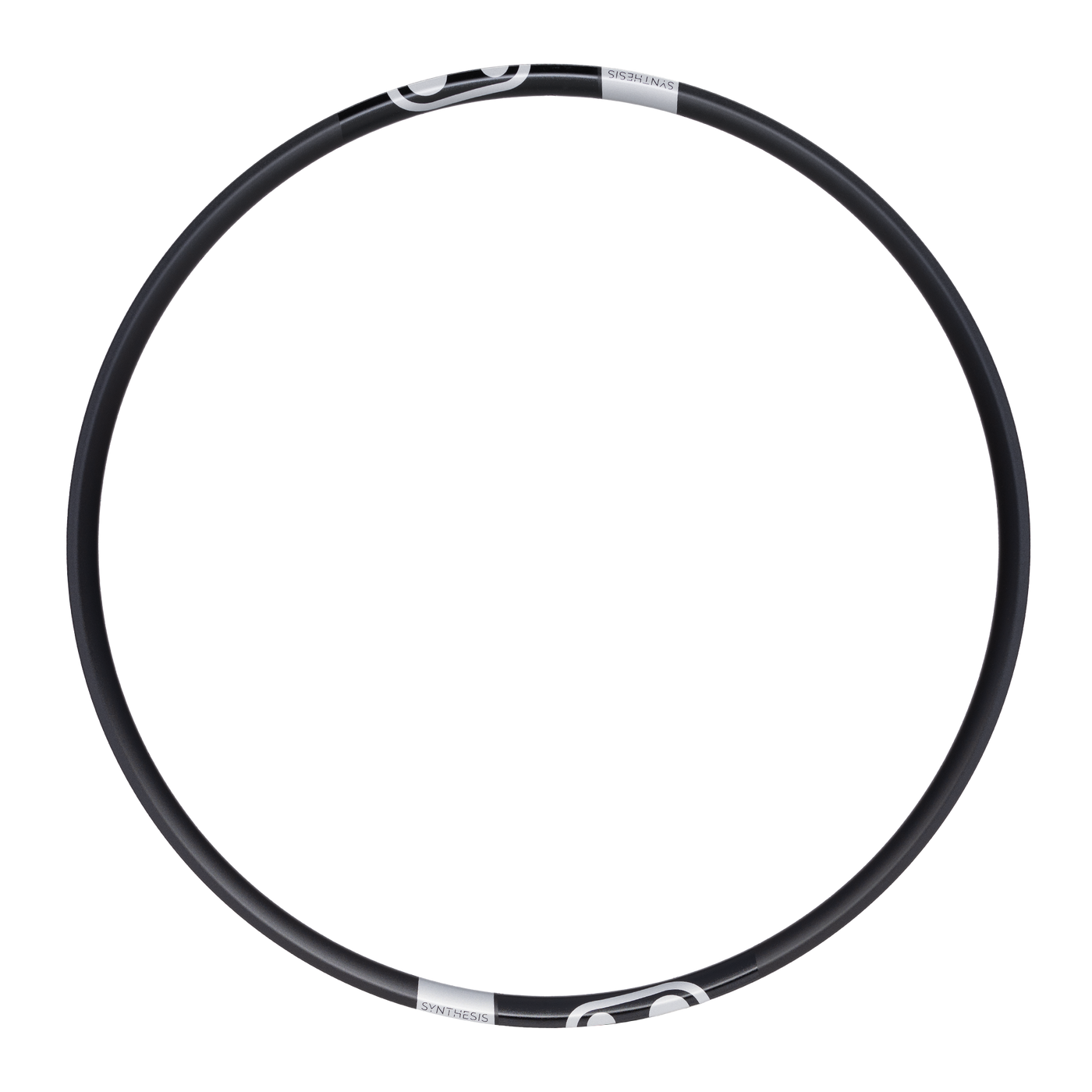 Synthesis Enduro Alloy 2.0 Rim